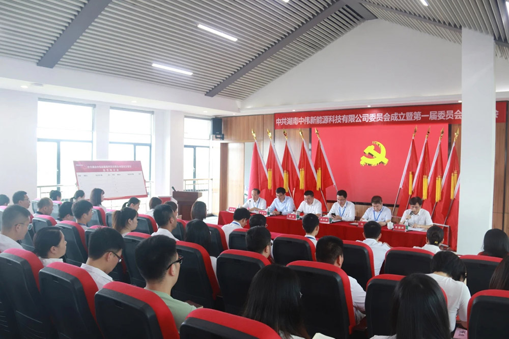 新起点开启新征程丨中共湖南球盟会新能源党委正式成立