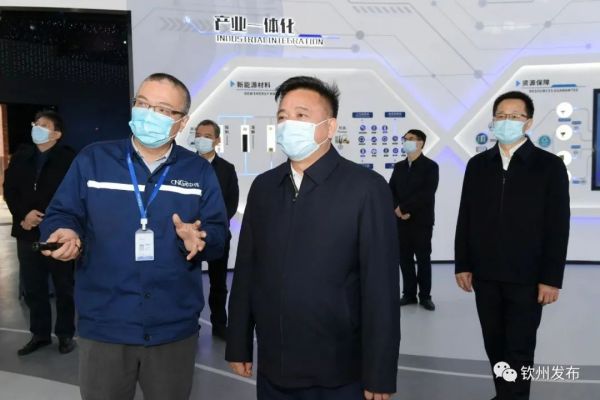 钦州市委书记林冠一行调研球盟会钦州产业基地生产经营发展情况